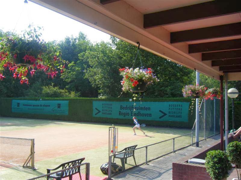 Padelbaan met kunstgrasveld onder overkapping, groene boarding en hangende bloemen