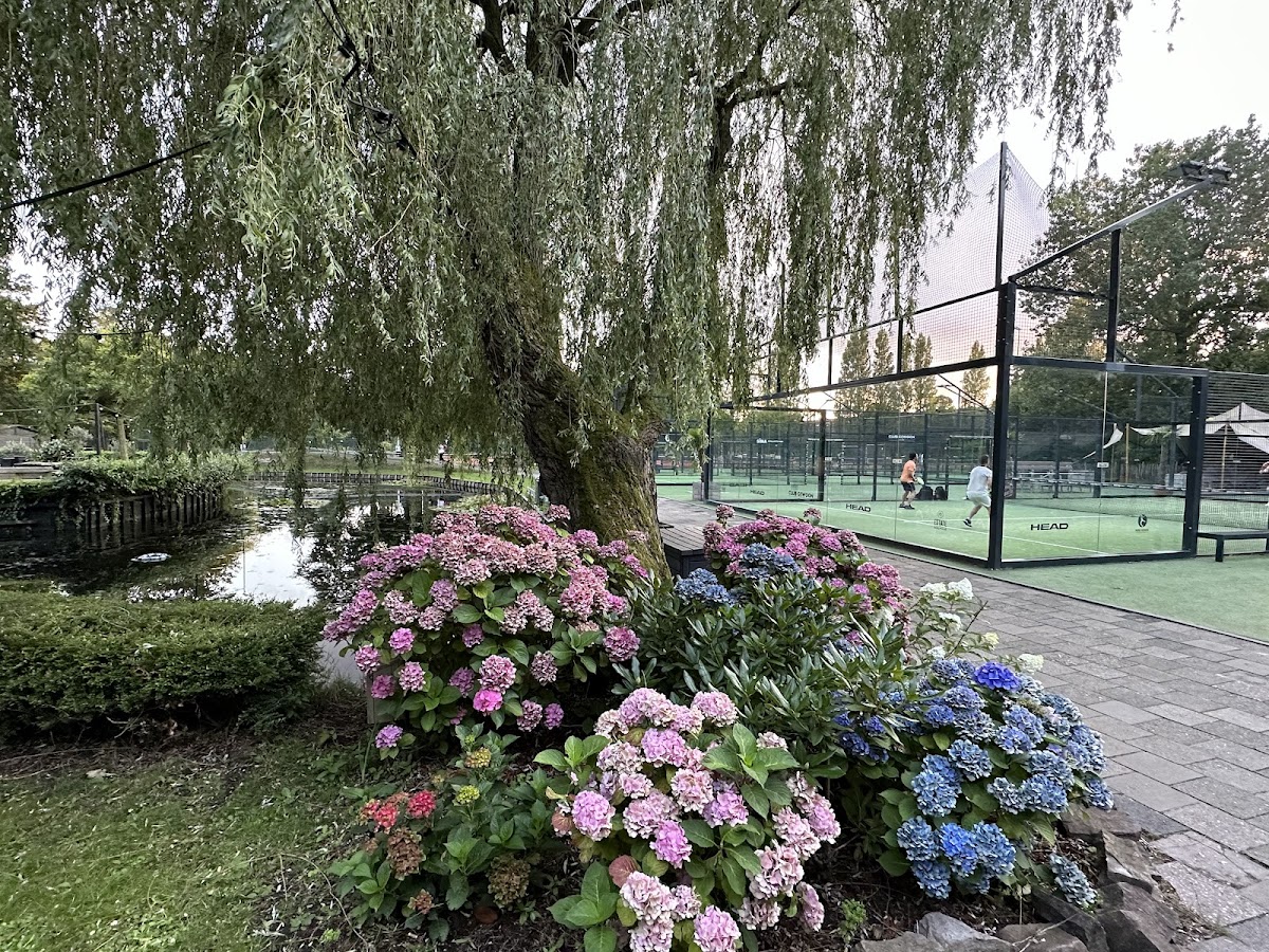 Outdoor padelbaan met groene kunstgrasveld, omgeven door bloeiende hortensia's en een treurwilg
