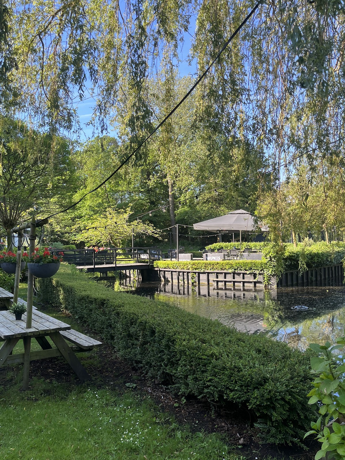 Padelbaan bij water met wilgenbomen, terras en parasol op zonnige dag