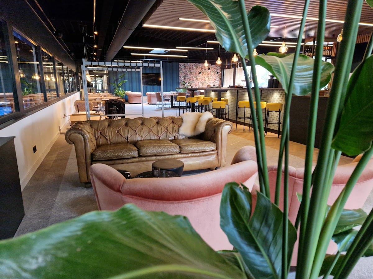 Moderne padel club lounge met leren banken, roze fauteuils en groene planten