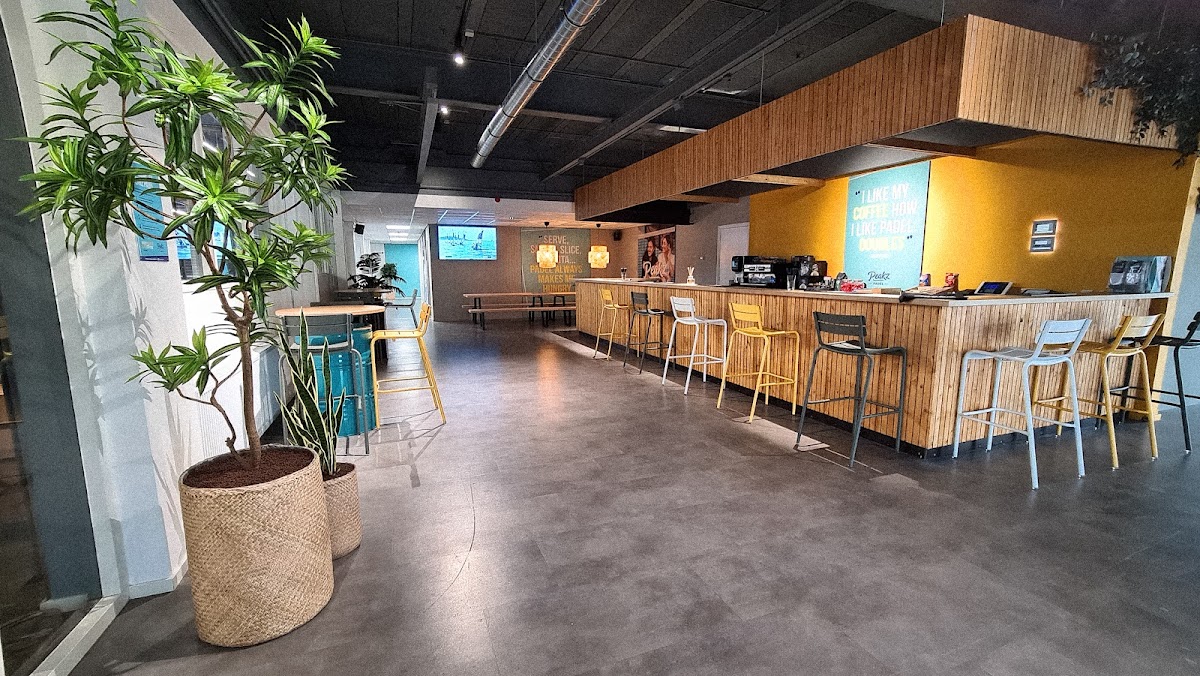 Moderne padelbaan met bar, houten afscheiding en grijze betonnen vloer